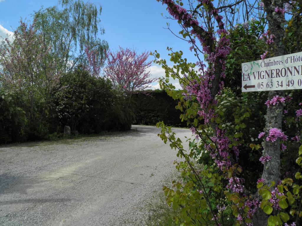 Chambres D'Hotes La Vigneronne Senouillac Εξωτερικό φωτογραφία